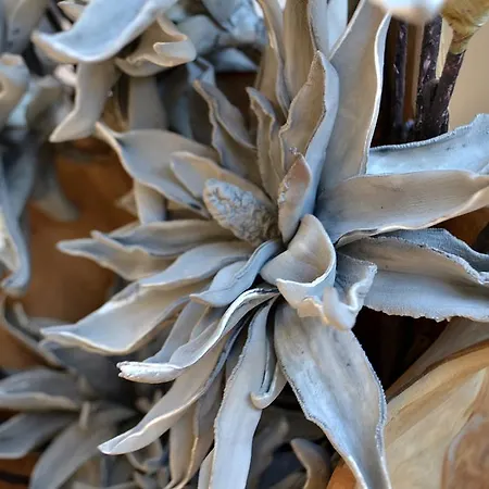 Royal 4* Ζόλντεν